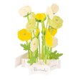 3D Glooming Message Card Buttercup Sale