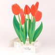 3D Glooming Message Card Tulip Sale