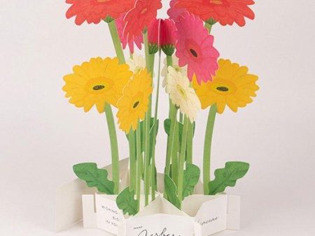 3D Glooming Message Card Garbera Daisy For Discount