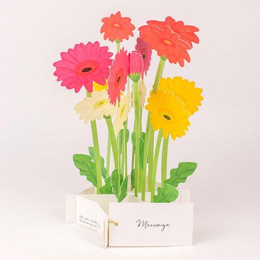 3D Glooming Message Card Garbera Daisy For Discount