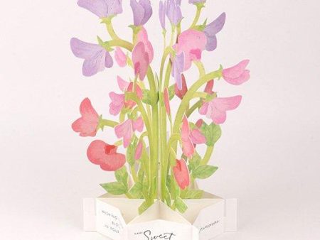 3D Glooming Message Card Sweet Pea For Cheap