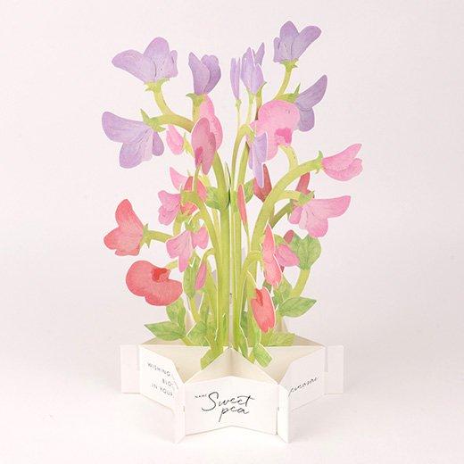 3D Glooming Message Card Sweet Pea For Cheap