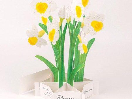 3D Glooming Message Card Daffodil For Sale