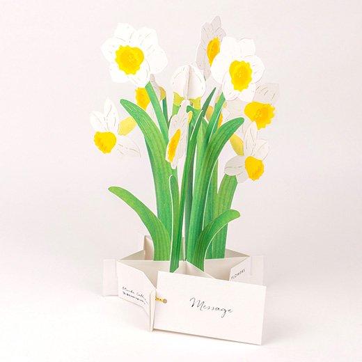 3D Glooming Message Card Daffodil For Sale