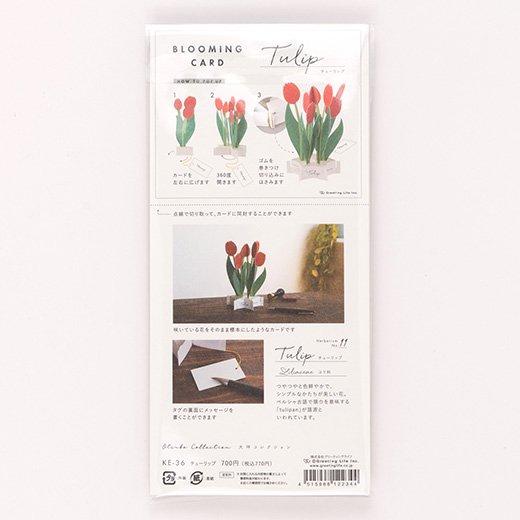 3D Glooming Message Card Tulip Sale