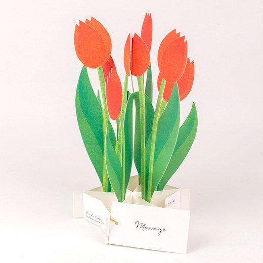 3D Glooming Message Card Tulip Sale