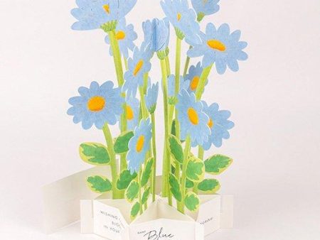 3D Glooming Message Card Blue Daisy Discount