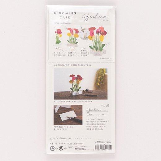 3D Glooming Message Card Garbera Daisy For Discount