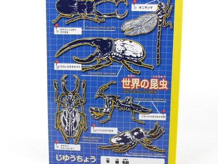 B5 Sketchbook (Insect* Dinosaur (30sh)) For Discount