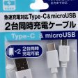 Dual Charge Cable (USB 2 MicroUSB BK*WT) Online