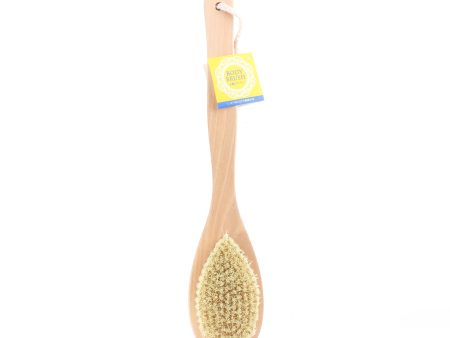 Body Brush Discount