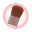 Canmake Glow Fleur Cheeks Online