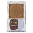 Canmake Shading Powder Supply